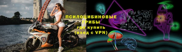 сатива Белокуриха