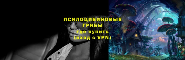 сатива Белокуриха