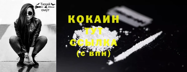 сатива Сосновка