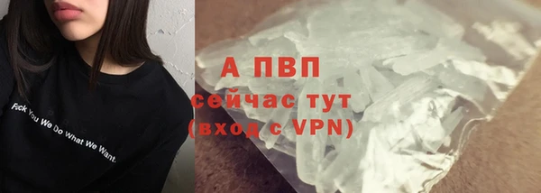 сатива Белокуриха
